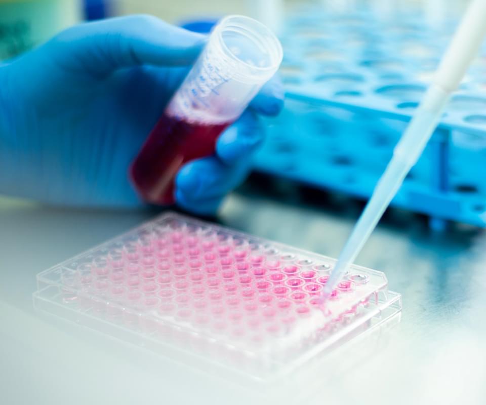 concierge clinical trials careers