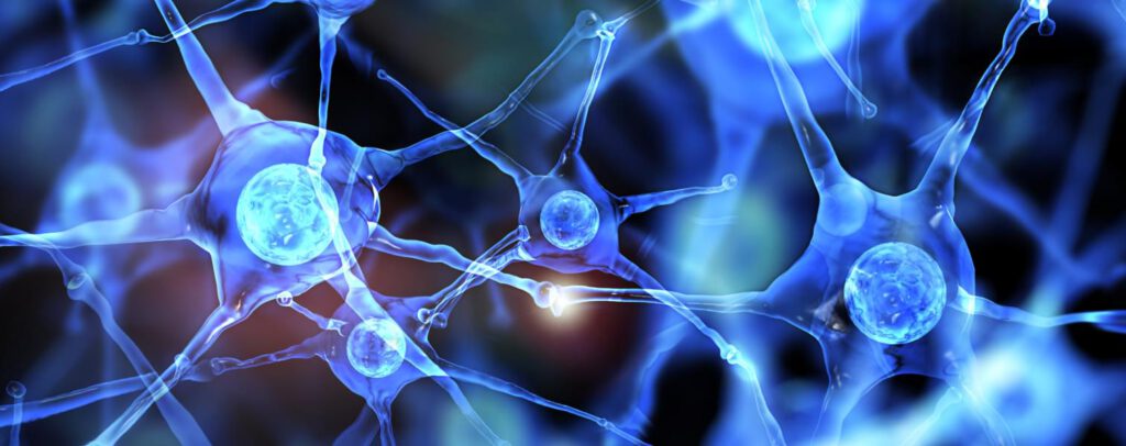 Image of cells representing central nervous system