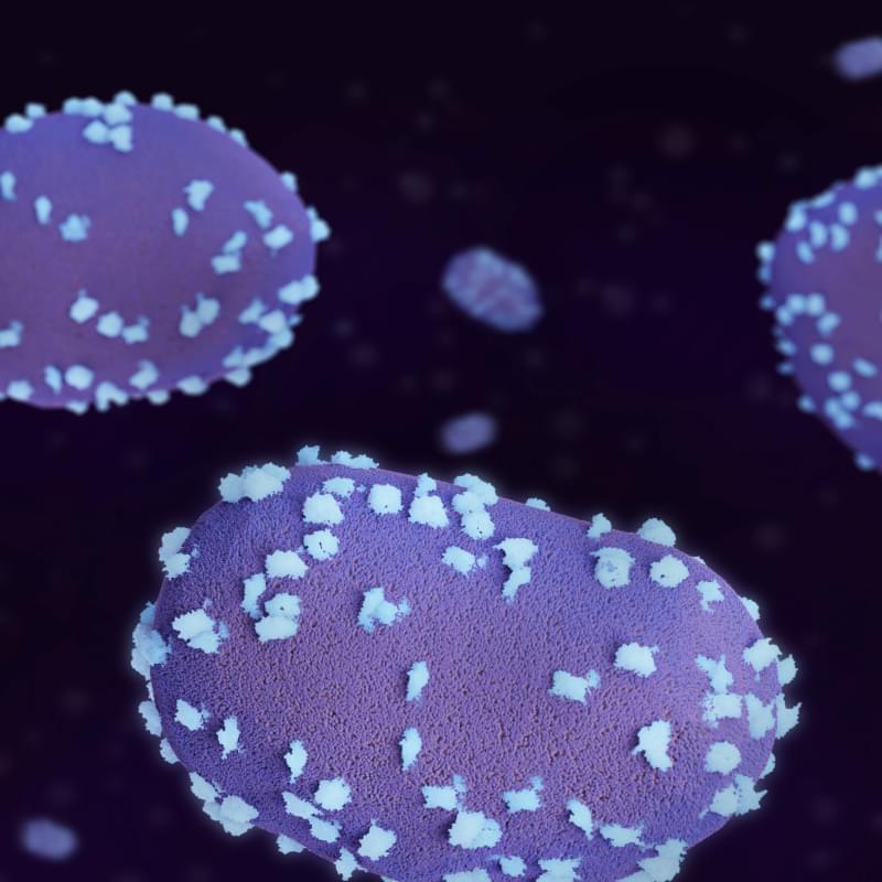 infectious diseases