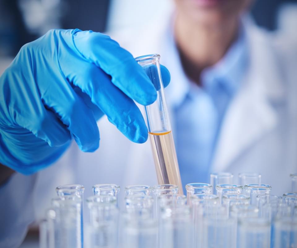join a clinical trial